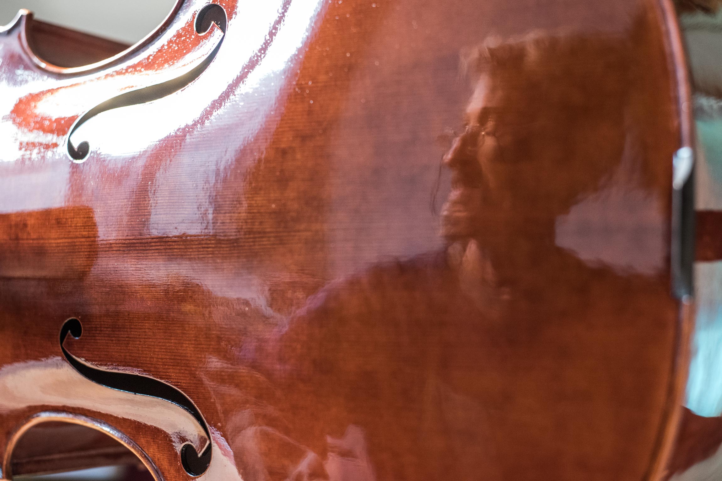 strumenti di Frederic Noharet a Parma: violino, viola e violoncello
